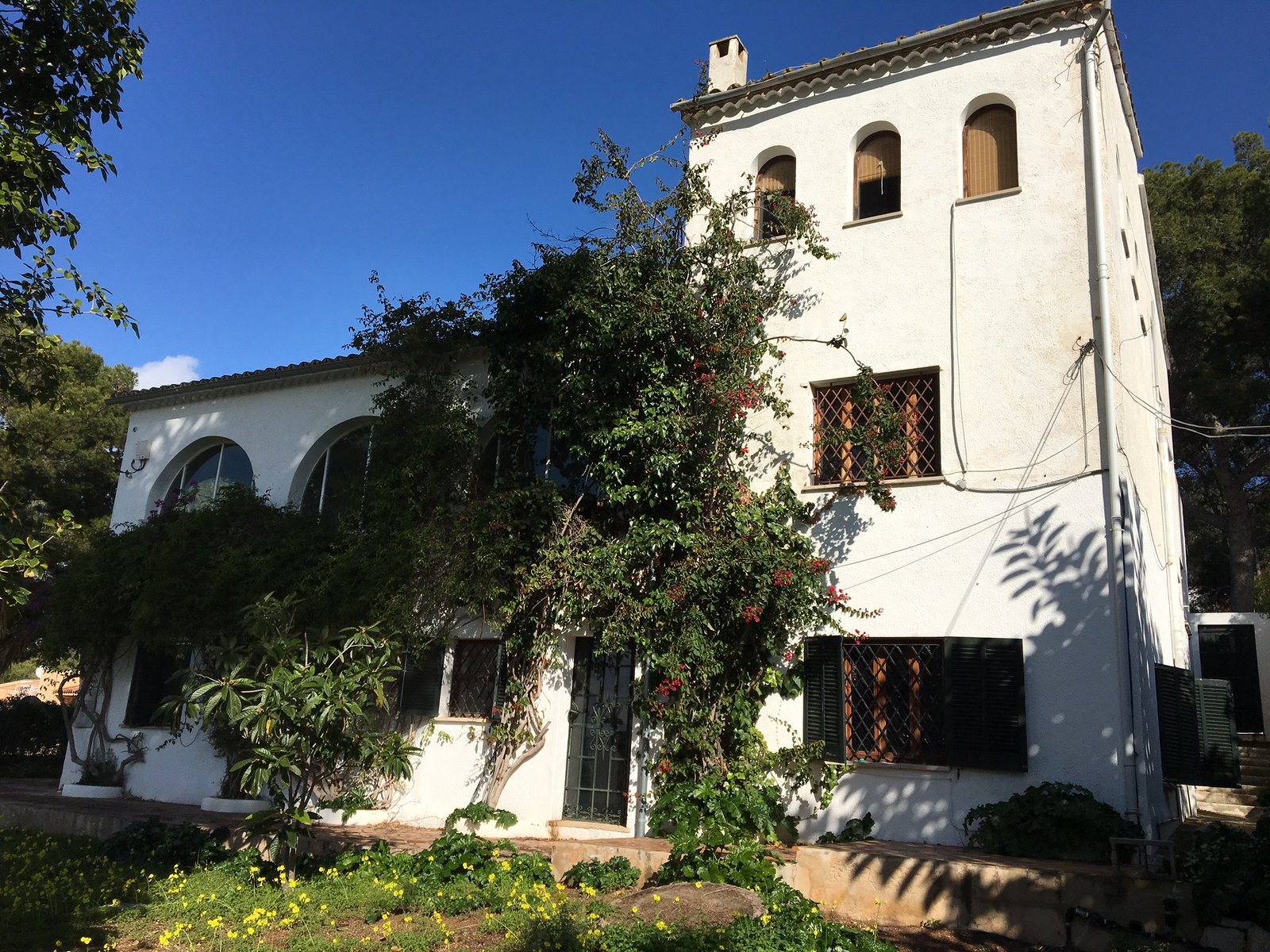 PMI ESTATES MALLORCA Sea view property in Portals Nous with great