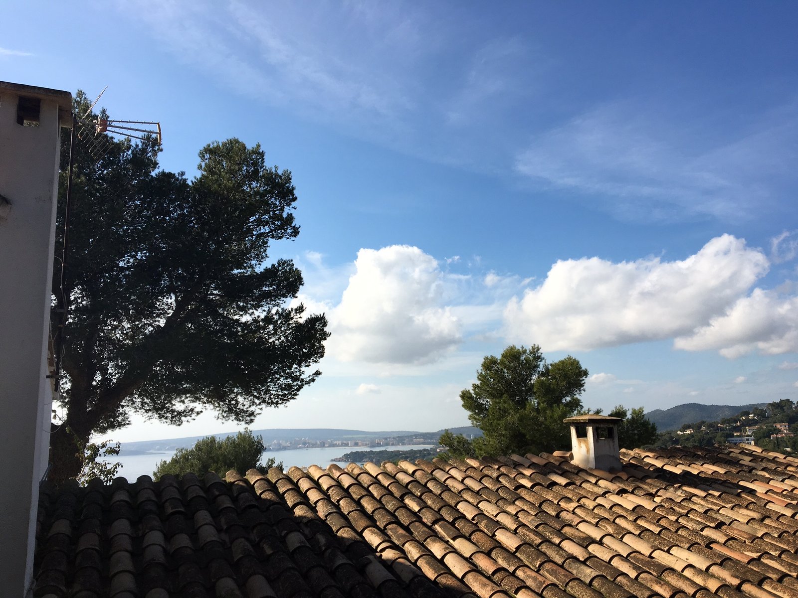 PMI ESTATES MALLORCA Sea view property in Portals Nous with great